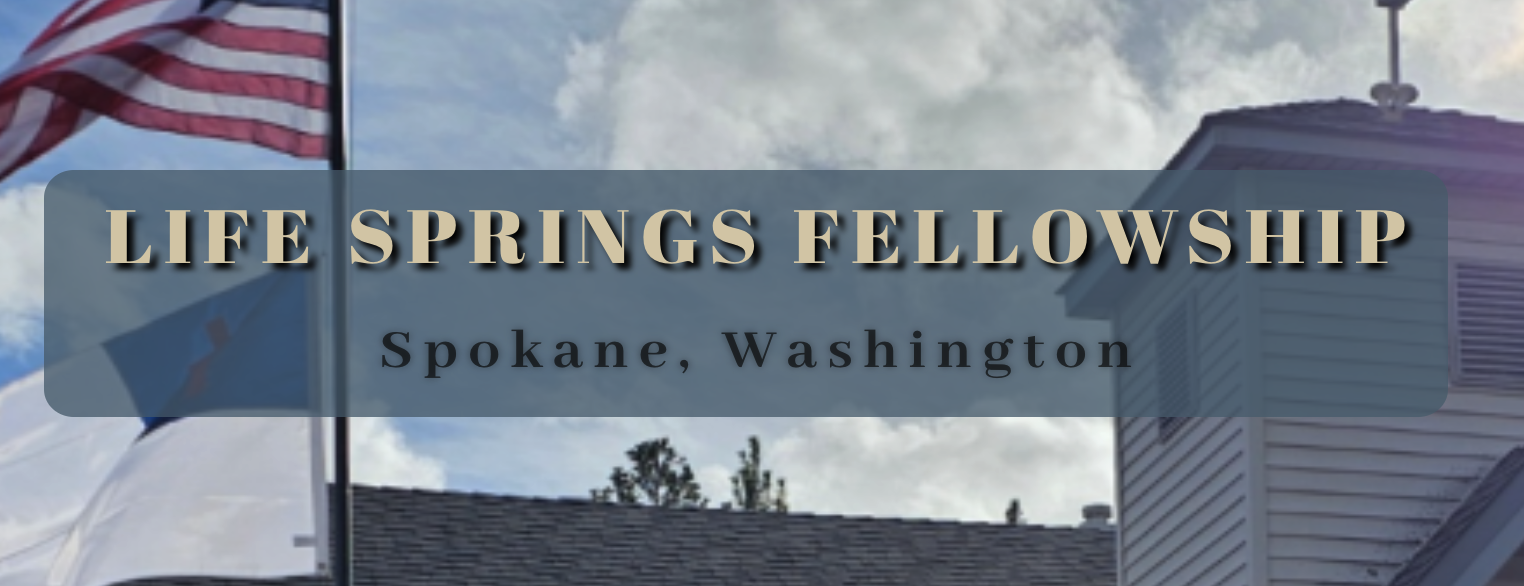 Life Springs Fellowship (Spokane, WA)  logo